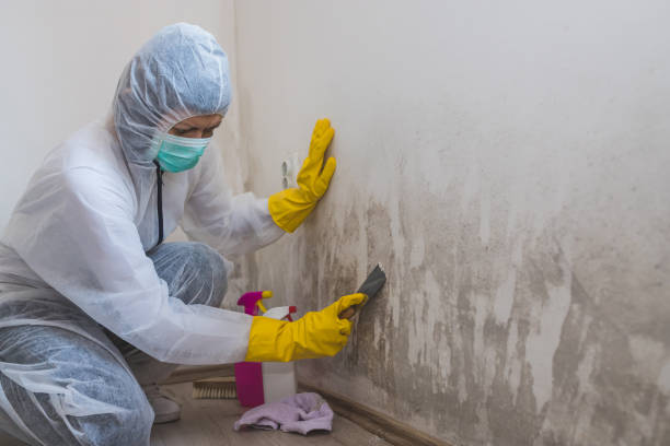 Best Industrial Mold Remediation  in Yorklyn, PA